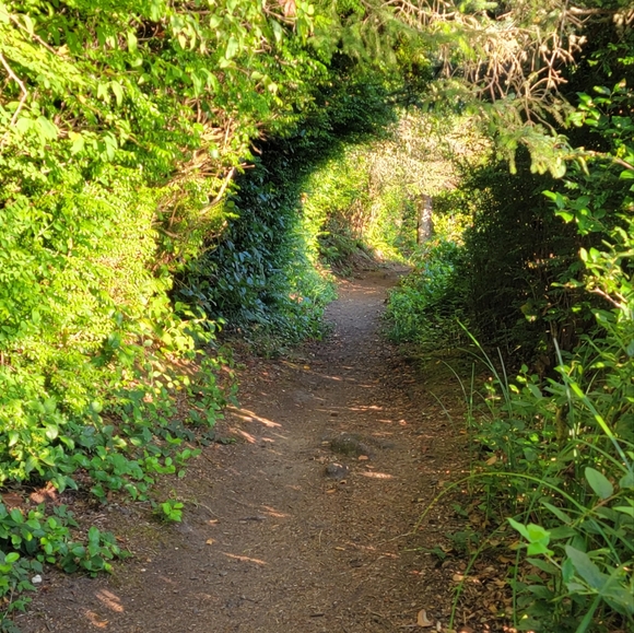 Meet your Posher, Jewell - Picture 2 of 3